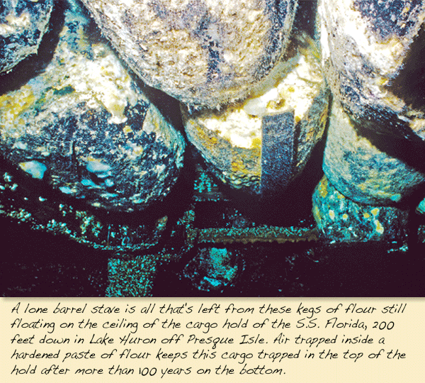 A lone barrel stave is all that's left from these kegs of flour still floating on the ceiling of the cargo hold of the S.S. Florida,  200 feet down in Lake Huron off Presque Isle. Air trapped inside a hardened paste of flour keeps this cargo trapped in the top of thehold after more than 100 years on the bottom.
